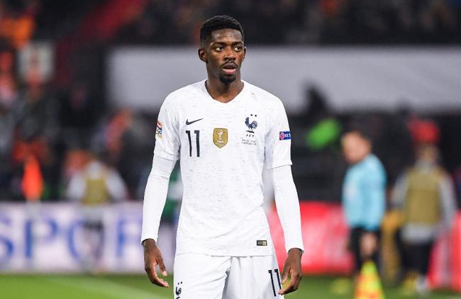 张伯霖谈摇篮舞庆祝：是庆祝我家两只小狗出生（张伯霖回应摇篮舞：为庆祝家中两只小狗诞生）